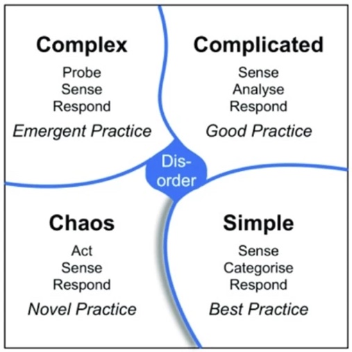 A Framework for Complex Change